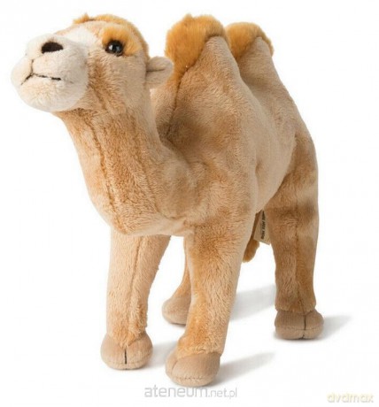 Wielbłąd 29 cm WWF