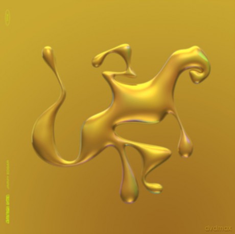 Jimmy Edgar: Cheetah Bend [Winyl]