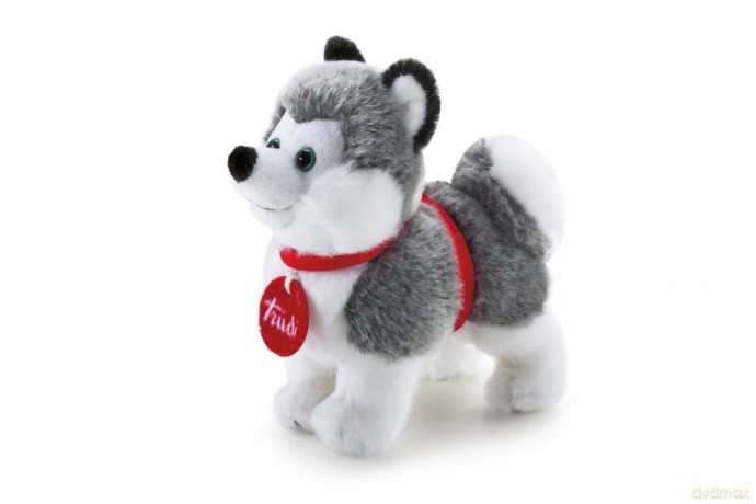 Trudi Plusz Husky