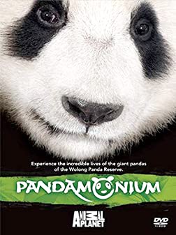 Pandamonium Part 1 [DVD]