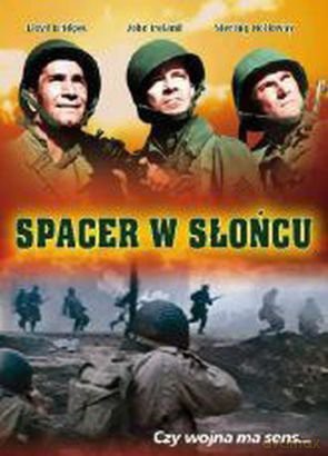 Spacer w słońcu [DVD]