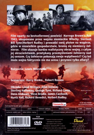 Spacer w słońcu [DVD]