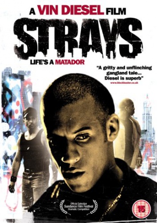 Strays (Przybłędy) [DVD]