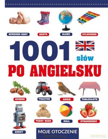 1001 słów po angielsku. Moje otoczenie - Laura Aceti [KSIĄŻKA]