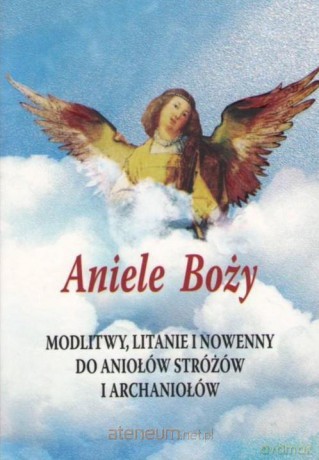 Aniele Boży. Modlitwy, litanie i nowenny do Aniołów Stróżów i Archaniołów [KSIĄŻKA]