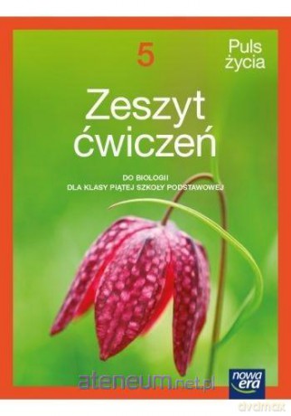 Biologia Szkoła podstawowa 5 Puls Życia ćwiczenie - Jolanta Holeczek, Jacek Pawłowski, Jolanta Pawłowska [KSIĄŻKA]