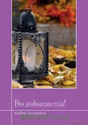 Do zobaczenia! - Radosław Werenda [KSIĄŻKA]