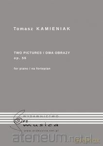 Dwa obrazy - Tomasz Kamieniak [KSIĄŻKA]