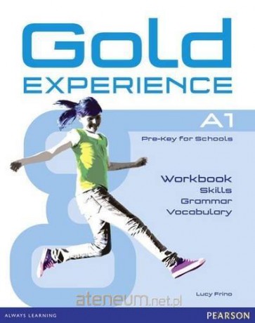 Gold Experience A1 Skills, Grammar, Vocabulary ćwiczenie - Lucy Frino [KSIĄŻKA]