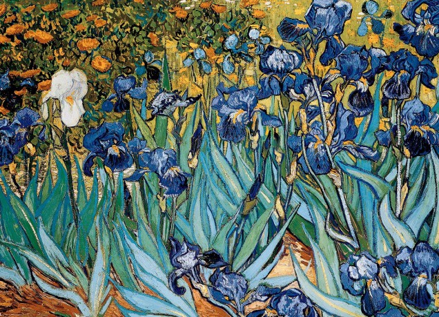 EUROGRAPHICS 1000 el. Irysy Vincent van Gogh 6000-4364 [PUZZLE]