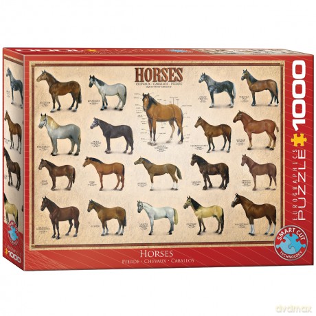 EUROGRAPHICS 1000 el. Konie 6000-0078 [PUZZLE]