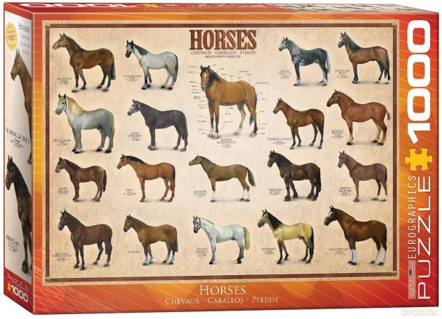 EUROGRAPHICS 1000 el. Konie 6000-0078 [PUZZLE]