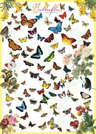 EUROGRAPHICS 1000 el. Motyle 6000-0077 [PUZZLE]