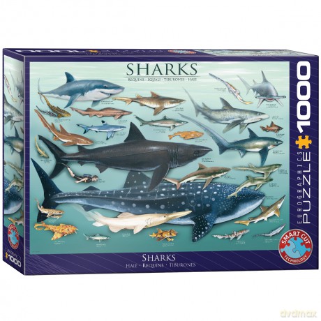 EUROGRAPHICS 1000 el. Rekiny 6000-0079 [PUZZLE]