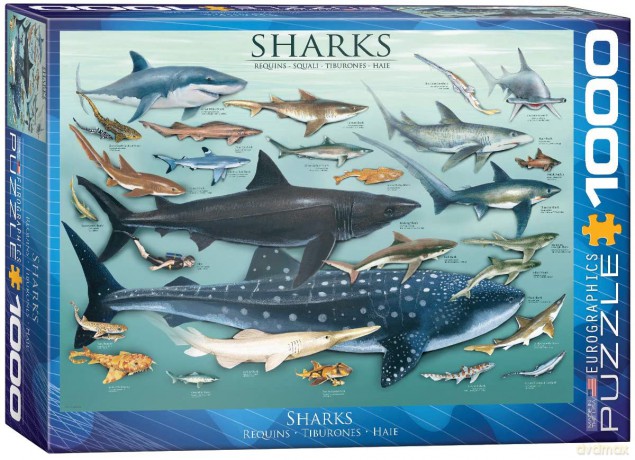 EUROGRAPHICS 1000 el. Rekiny 6000-0079 [PUZZLE]