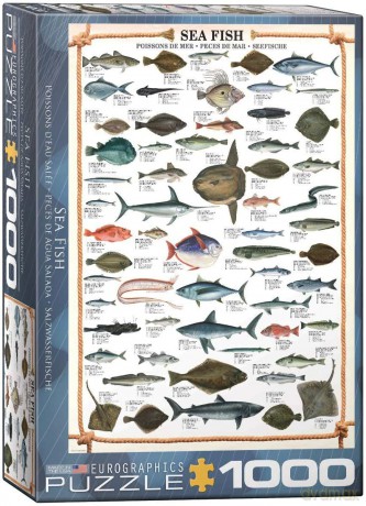 EUROGRAPHICS 1000 el. Ryba morska 6000-0313 [PUZZLE]