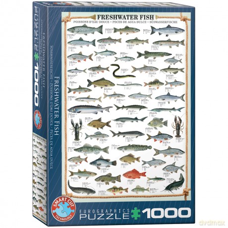 EUROGRAPHICS 1000 el. Ryby słodkowodne 6000-0312 [PUZZLE]