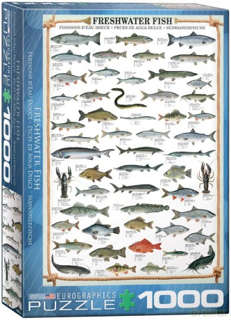EUROGRAPHICS 1000 el. Ryby słodkowodne 6000-0312 [PUZZLE]