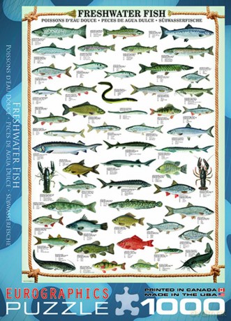EUROGRAPHICS 1000 el. Ryby słodkowodne 6000-0312 [PUZZLE]