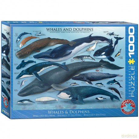 EUROGRAPHICS 1000 el. Wieloryby i delfiny 6000-0082 [PUZZLE]