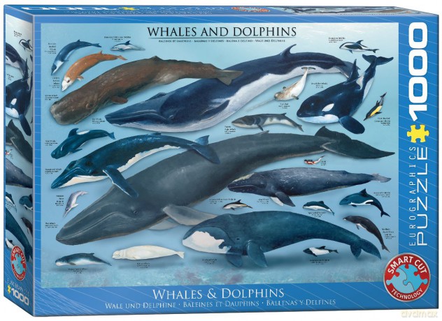 EUROGRAPHICS 1000 el. Wieloryby i delfiny 6000-0082 [PUZZLE]