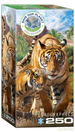 EUROGRAPHICS 250 el. Tygrysy 8251-5559 [PUZZLE]