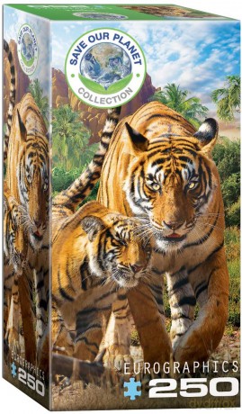 EUROGRAPHICS 250 el. Tygrysy 8251-5559 [PUZZLE]