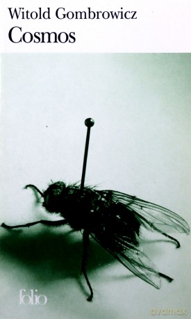 Cosmos - Witold Gombrowicz [KSIĄŻKA]