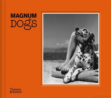 Magnum Dogs [KSIĄŻKA]