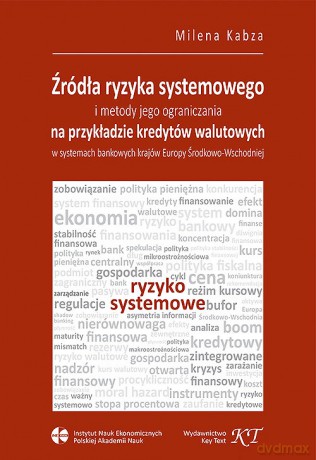 Źródła ryzyka systemowego i metody jego ograniczania - Milena Kabza [KSIĄŻKA]