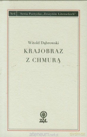 Krajobraz z chmurą - Witold Dąbrowski [KSIĄŻKA]