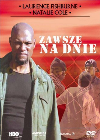 Zawsze na dnie [DVD]
