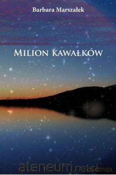 Milion kawałków - Barbara Marszałek [KSIĄŻKA]
