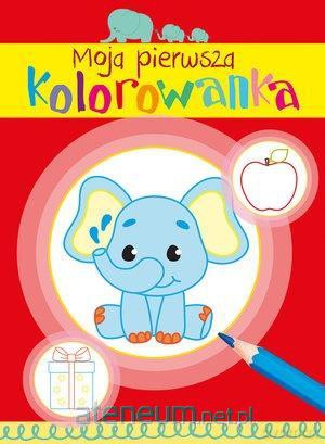 Moja pierwsza kolorowanka [KSIĄŻKA]