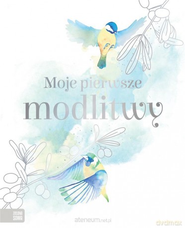 Oferta komunijna. Moje pierwsze modlitwy [KSIĄŻKA]