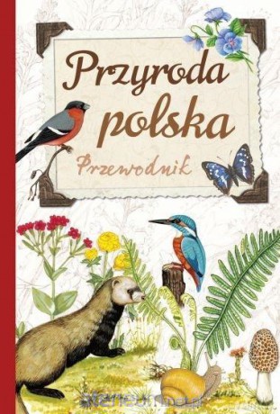 Przyroda polska. Przewodnik - Robert Jacek Dzwonkowski [KSIĄŻKA]