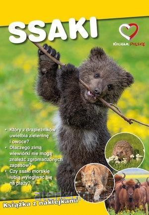 Ssaki. Ekoprzewodnik młodego odkrywcy - Paweł Zalewski [KSIĄŻKA]
