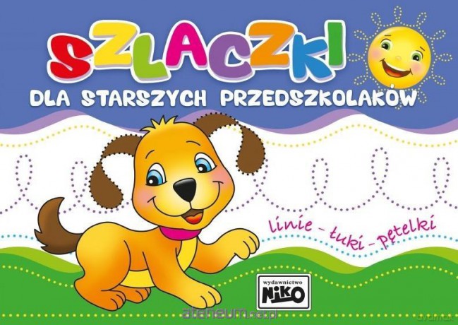 Szlaczki dla starszych przedszkolaków [KSIĄŻKA]