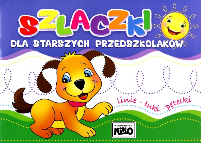 Szlaczki dla starszych przedszkolaków [KSIĄŻKA]