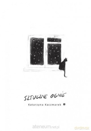 Sztuczne ognie - Katarzyna Kaczmarek [KSIĄŻKA]