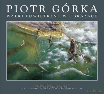 Walki powietrzne w obrazach [KSIĄŻKA]