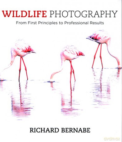 Wildlife Photography - Richard Bernabe [KSIĄŻKA]