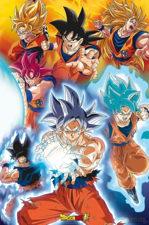 Dragon Ball Super - Poster - Gokus Transformations (91.5x61)
