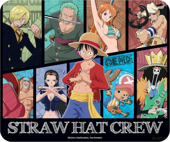 Podkładka materiałowa One Piece - New World