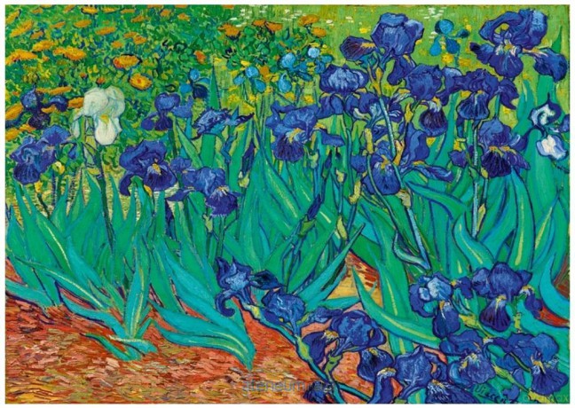 BLUEBIRD PUZZLE 1000 el. Irysy, Vincent van Gogh [PUZZLE]