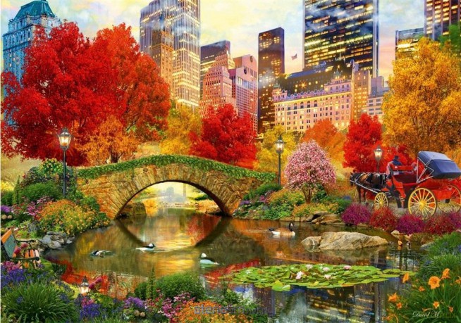 BLUEBIRD PUZZLE 1000 el. Nowy York, Central Park [PUZZLE]