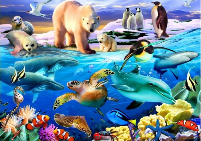 BLUEBIRD PUZZLE 1000 el. Ocean pełen życia [PUZZLE]