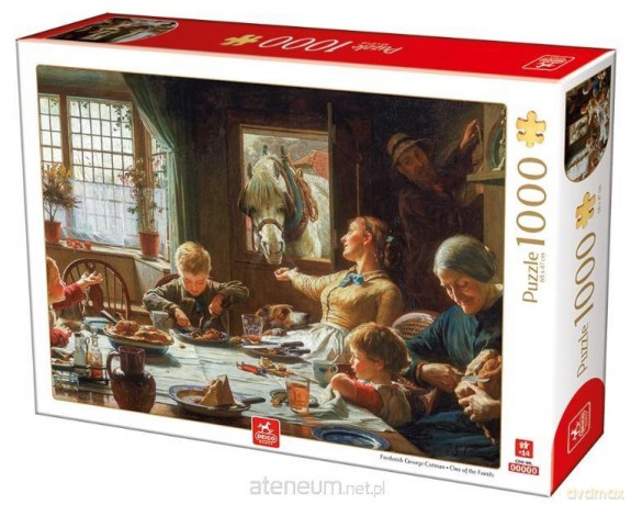 DEICO 1000 el. Przyjaciel domu [PUZZLE]