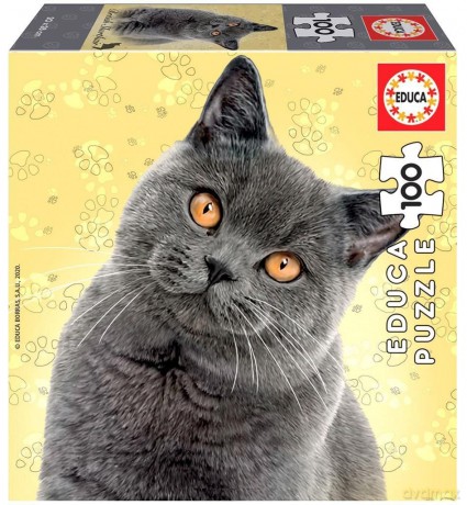 EDUCA 100 el. Koty - Brytyjski krótkowłosy [PUZZLE]
