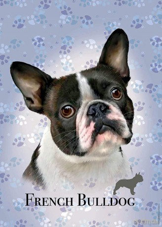 EDUCA 100 el. Psy - Buldog francuski [PUZZLE]